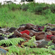 Illustration for article titled Reporter Spends Month Undercover In Mass Grave